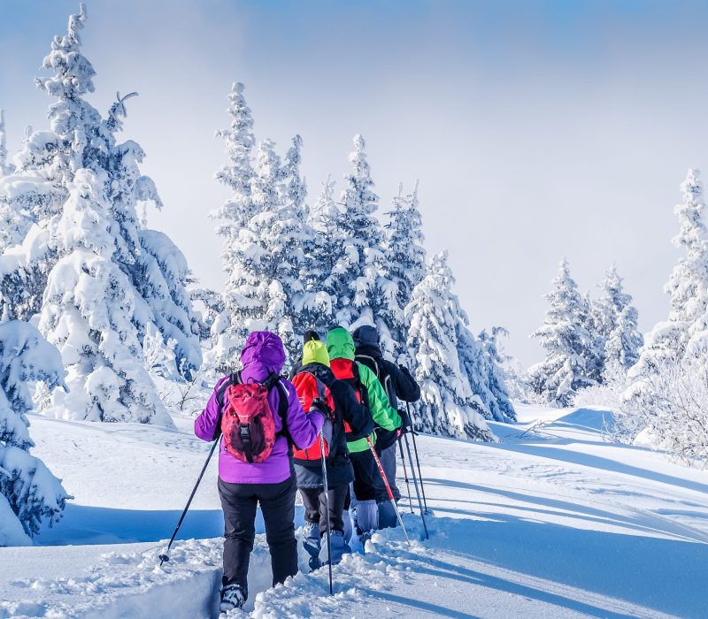Paysage de neige et raquettes Paysage de neige et raquettes