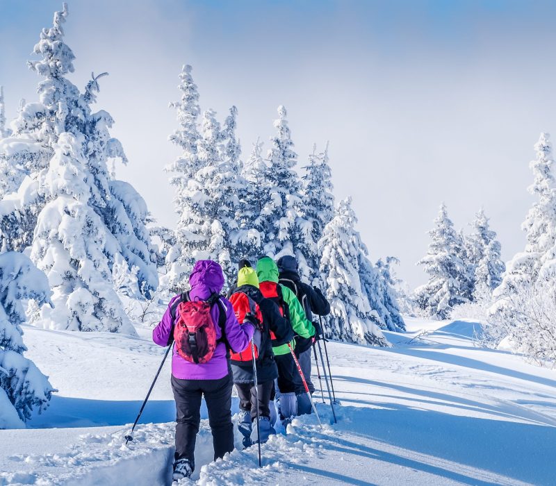 Paysage de neige et raquettes